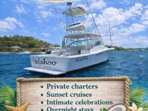 Coconut Breeze - Bequia Group Tour