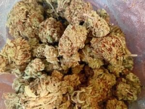 Green Valley Farms - Orange Cream Pop