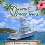 Coconut Breeze SVG